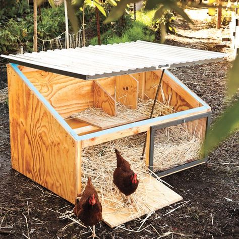 Easy Diy Chicken Coop, Build A Chicken Coop, Small Chicken Coops, Easy Chicken Coop, Duck Coop, Portable Chicken Coop, Chicken Coup, Diy Chicken Coop Plans, Chicken Tractor