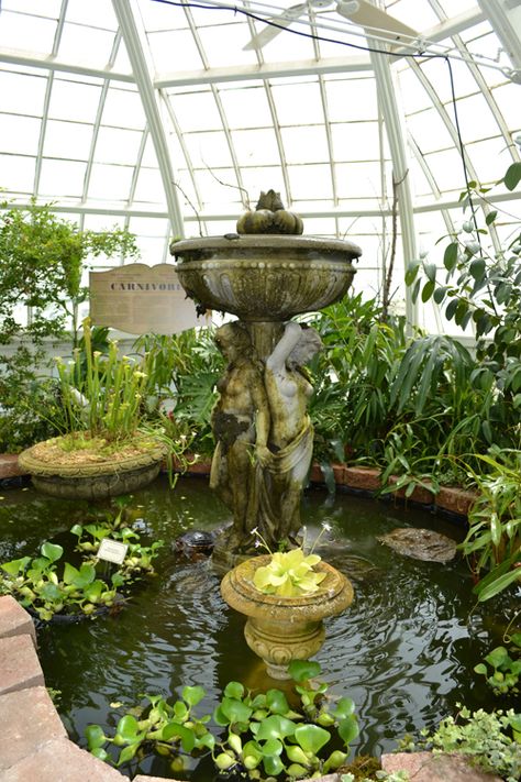 THOUGHT PATTERNS: Wicked Plants at the Conservatory of Flowers                                                                                                                                                                                 More Moonlit Conservatory, Victorian Greenhouse Conservatory, Victorian Conservatory Interior, Greenhouse Conservatory, What Is A Conservatory, Greenhouse Interior, Conservatory Of Flowers, Victorian Conservatory, Victorian Greenhouse