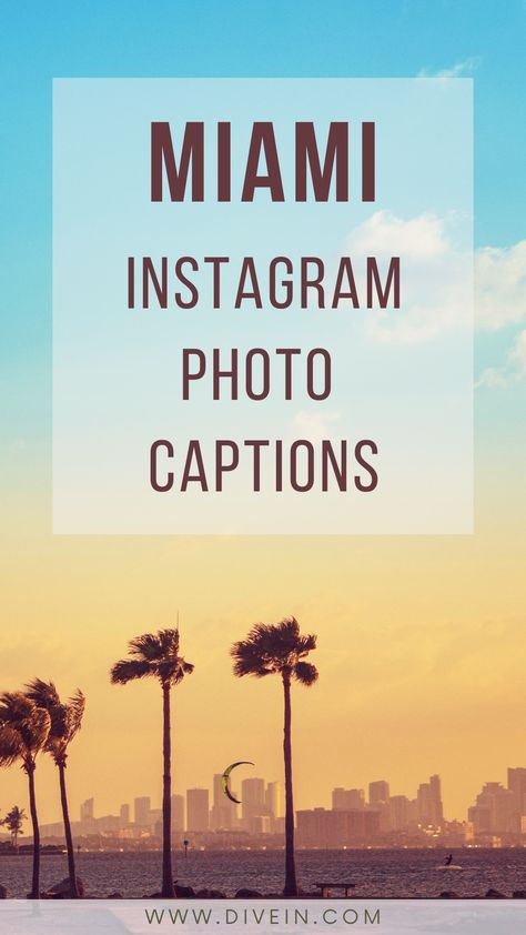 140+ Miami Instagram Photo Captions Miami Quotes, Captions Short, Life Captions, Short Travel Quotes, Photo Captions, Funny Travel Quotes, Beach Captions, The Night Is Young, Family Travel Quotes