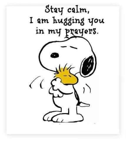 Gifs Snoopy, Snoopy Hug, Hug Pictures, Charlie Brown Quotes, Woodstock Snoopy, Brown Quotes, Snoopy Cartoon, Hug Quotes, 귀여운 음식 그림