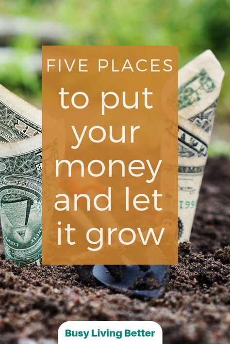 This article helped me learn more about what places I can put my money to let it grow over time. I  loved how detailed it was in explaining each investment vehicle and tells you how you can expect to invest in them. It also explains how each helps you save money, grow your money over time, and become more financially healthy by using these investments. I loved this article! #finance #investing #savemoney #makemoney Let It Grow, Money Management Advice, Money Advice, Finance Investing, Budgeting Finances, Budgeting Money, Financial Tips, Money Matters, Investing Money