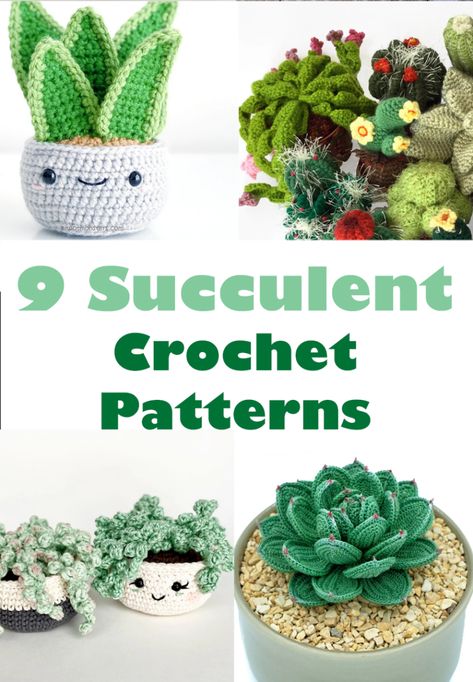 Crochet Cactus Free Pattern, Crochet Succulent, Crochet Garden, Crochet Cactus, Easy Crochet Projects, Aesthetic Crochet, Crochet Plant, Beginner Crochet Projects, Clothes Aesthetic