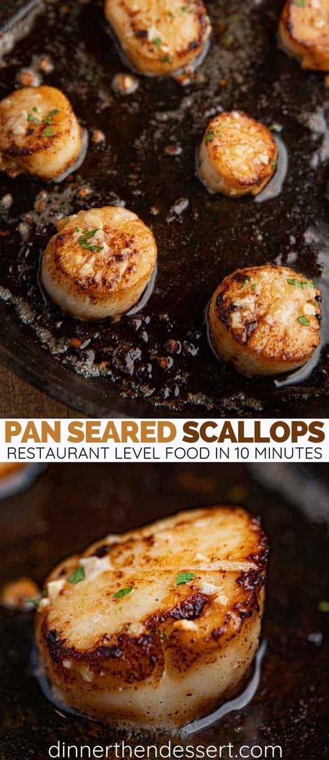 Brown Butter Seared Scallops, Best Seared Scallops, Pan Seared Sea Scallops, Pan Seared Scallops Recipe, Scallops Pan Seared, Pan Seared Scallops Butter, Sauteed Shrimp And Scallops, Scallop Recipes Seared, Sea Scallops Seared