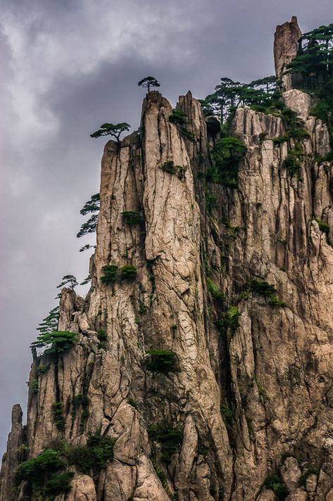 Huangshan - The Yellow Mountains of China Part 1 - Anne McKinnell Photography Chinese Mountains Photography, Yellow Mountains China, Mountain Reference Photo, China Mountains, Tall Mountains, Yellow Mountains, Huangshan Mountains, China Landscape, China Photography