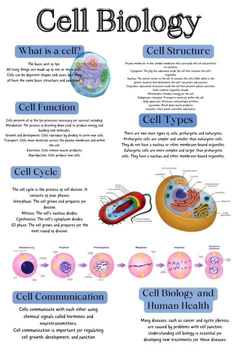 CELL STRUCTURE AND FUNCTION NCERT HIGHLIGHTS Plant Physiology Notes, Abc Of Biology, Cell Structure Notes, Cell Function And Structure, Biology Reproduction Notes, Cell Structure And Function, Cell Structure And Function Notes, Biology Cell, Cell Notes