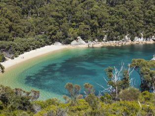 Top 10 Things to do at Wilsons Promontory Wilsons Prom, Wilsons Promontory, Centre Parks, Wilderness Retreat, Temperate Rainforest, Camping Area, Secluded Beach, Secret Beach, Camping Spots