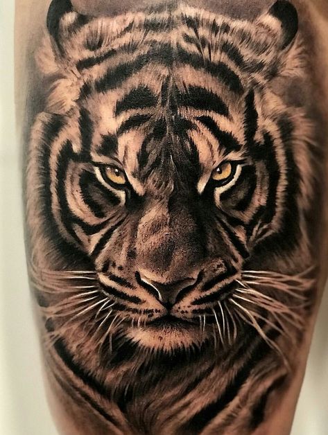 Tiger Tattoo Meaning, Mens Tiger Tattoo, White Tiger Tattoo, Tiger Face Tattoo, Tiger Head Tattoo, Tiger Tattoo Sleeve, Tiger Tattoos, Animal Sleeve Tattoo, Lion Tattoo Sleeves