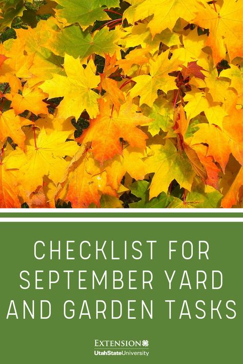 Checklist for September Yard and Garden Tasks. #livewellutah Box Elder Bugs, Fall Cleaning Checklist, Garden Checklist, How To Store Potatoes, Lawn Fertilizer, Fall Cleaning, Seed Saving, Grass Seed, Go Hiking