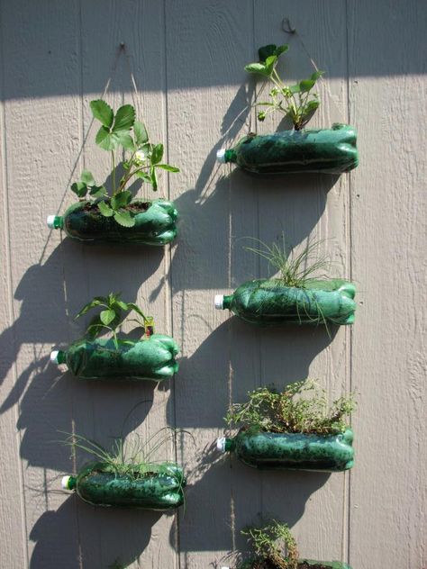 garden of soda bottles Bottle Planters, Window Herb Garden, Bottle Flowers, Recycle Water Bottles, Plants In Bottles, Diy Water Bottle, Diy Herb Garden, Diy Plastic Bottle, Genius Ideas