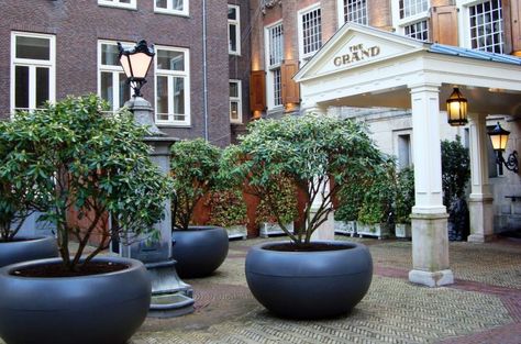 Fibre Reinforced Cement Planters The Grand Hotel, Amsterdam Extra Large Outdoor Planters, Patio Planter Boxes, Large Garden Pots, Extra Large Planters, Commercial Planters, Large Outdoor Planters, Outside Plants, Tree Planters, Large Plant Pots