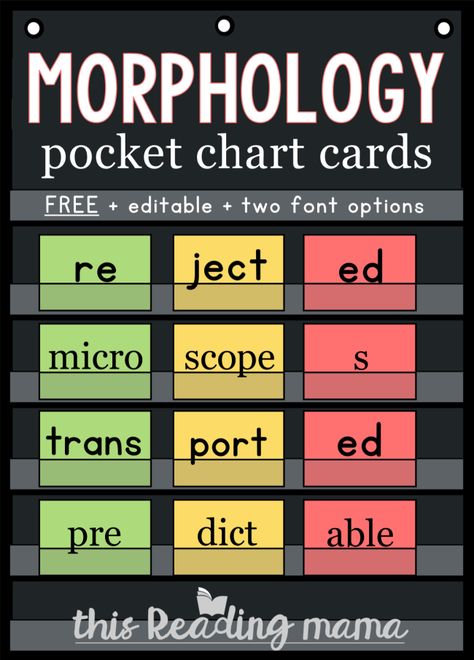 Morphology Anchor Chart, Pocket Chart Ideas, Morphology Wall, Phonemes Activities, Morphology Activities, Teach Child To Read, Wilson Reading Program, Reading Interventionist, Wilson Reading