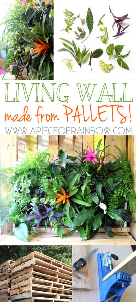 DIY Tropical Pallet Living Wall : Great pallet project that anyone can build it in less than 1 hour. Easy to maintain, and beautiful.-  via A Piece Of Rainbow Tropical Pallet, Pallet Planter Ideas, Diy Pallet Planter, Living Wall Diy, Plant Wall Diy, Spring Diy Projects, Diy Container Gardening, Pallet Projects Garden, Made From Pallets