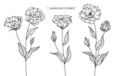 Lisianthus Flower, Human Canvas, Leaf Drawing, Roses Drawing, Flower Leaf, Flower Tattoo Designs, Magnolia Flower, Little Tattoos, S Tattoo