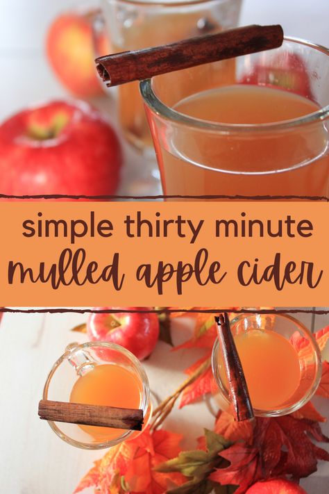 Stove Top Apple Cider, Hot Mulled Cider Recipe, Hot Cider Recipes, Thanksgiving Cider, Hot Mulled Cider, Apple Cider Uses, Mulled Cider Recipe, Apple Cidar, Hot Apple Cider Recipe