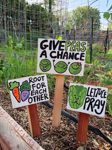 This punny garden set comes with 3 Signs. The Give Peas a chance is 17 inches tall and both the root for each other and lettuce pray are 12 inches tall. They are hand painted on solid wood and weather sealed.  They will look adorable in a children's garden or any vegetable, or herb garden. Funny and cute and adds a pop of color to your garden space. See more Vegetable garden signs here: https://www.etsy.com/shop/HOPEandSTAY?ref=seller-platform-mcnav§ion_id=13205846 Item is made to order and may Vegetable Garden Signs, Garden Signs Diy, Give Peas A Chance, Sensory Garden, Market Garden, Children's Garden, Outdoor Classroom, School Garden, Funny And Cute