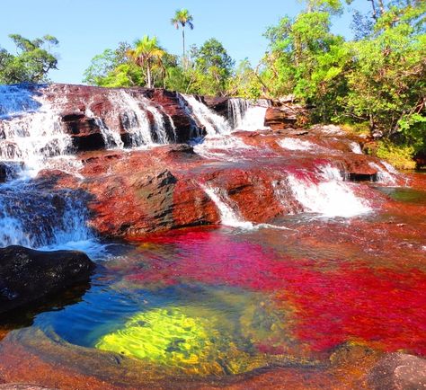 Lake Retba, Fly Geyser, Liquid Rainbow, Rainbow River, Places Worth Visiting, Tunnel Of Love, Aquatic Plant, Iguazu Falls, Palau