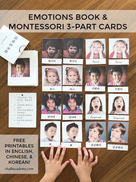 EMOTIONS BOOK & MONTESSOR 3-PART CARDS - FREE PRINTABLES IN ENGLISH, CHINESE, AND KOREAN! via @chalkacademy #montessori #emotions #psychology #kidsactivities #preschool #learnchinese #kindergarten Montessori Feelings Activities, Emotions Memory Game Free Printable, Montessori Emotions Activities, Montessori Emotions, Preschool Sel, Kindy Activities, Emotions Psychology, Peace Activities, Emotions Preschool