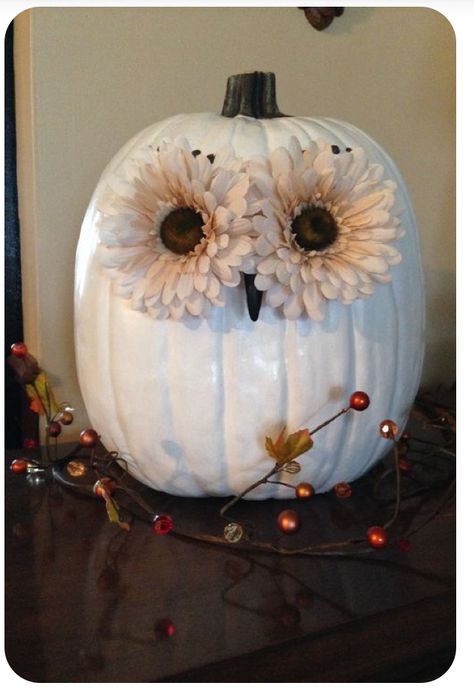 Owl Pumkin Decoration Ideas, Pumpkin Owl Craft, White Pumpkin Owl, Mummy Pumpkin Decorating, Owl Painted Pumpkin, Owl Pumpkin Painting, Owl Pumpkin Decorating, Halloween Pumpkins Painted Designs, Pumkin Decoration Ideas Easy