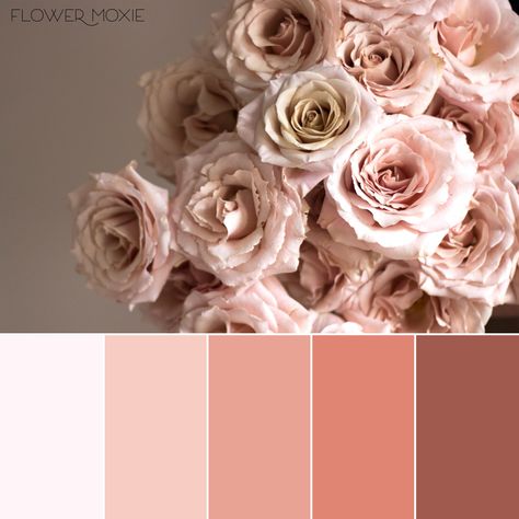 Quicksand Roses, Dusty muted rose, Flower Moxie, DIY Wedding Flowers, Marsala and Dusty Rose Wedding, monotone wedding palette Dusty Peach Color, Dusty Peach, Old Rose Color Palette Wedding, Quicksand Rose Wedding, Rosy Sunset Wedding Colors, Old Rose Wedding Motif Color Palettes, Desert Rose Wedding Florals, Muted Pink Flowers Wedding, Flower Girl Petals