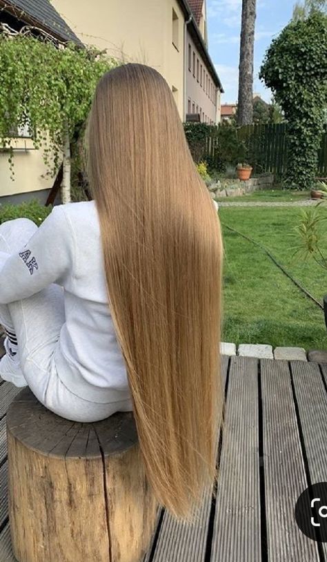 Perfect Blonde Hair, Long Hair Models, Long Silky Hair, Straight Blonde Hair, Long Hair Pictures, Lustrous Hair, European Hair, Long Blonde, Very Long Hair