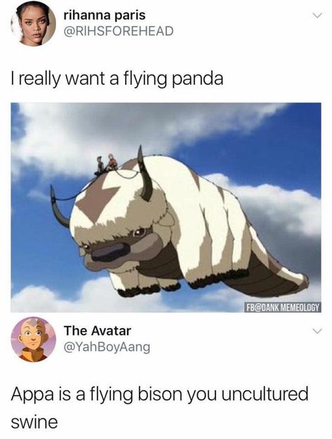 Cool Animes, Flying Bison, Uncultured Swine, Atla Memes, Avatar The Last Airbender Funny, Avatar Funny, Avatar Series, The Last Avatar, The Avatar