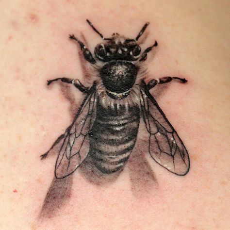 Micro-Realistic Insect Tattoo by Anthony Michaels Realism Bug Tattoo, Realistic Insect Tattoo, Realistic Bug Tattoo, Bee Tattoo Realistic, Insect Sleeve Tattoo, Realistic Bee Tattoo, Black And Blue Tattoo, Cicada Tattoo, Inspire Tattoo