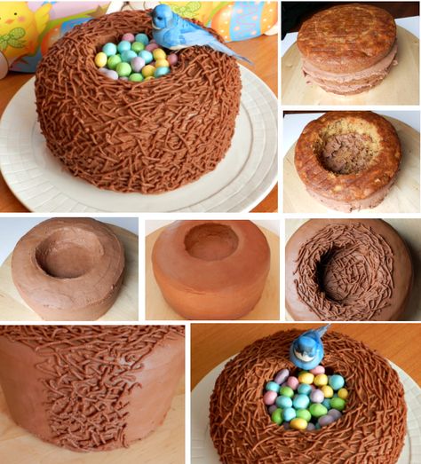 Easter Bird Nest Cake Recipe Easter Nest Cake, Nest Cake, Torte Creative, Cake Easter, Easter Nests, Torte Cupcake, Easter Baking, Cupcake Cake, Easter Dessert