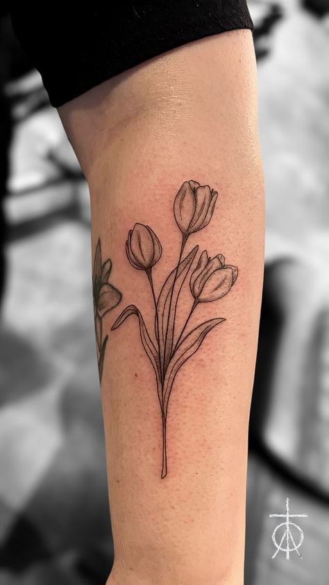 Tattoo uploaded by Claudia Fedorovici • Fine Line Tulips Tattoo by Claudia Fedorovici #finelinetattooartist #fineline #tulips #finetattoos #tattooartistsamsterdam #floraltattoo #claudiafedorovici #ascetictattoo #tempesttattooamsterdam Tulip Flowers Tattoo, Three Tulips Tattoo, Vase Of Tulips Tattoo, Tulip Tattoo Design For Women, Tulip Vine Tattoo, Tulip In A Cup Tattoo, 3 Tulips Tattoo, Tulip Forearm Tattoo, Bouquet Of Tulips Tattoo