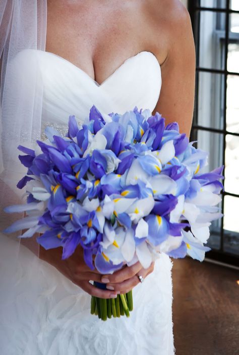 Irises!!!!! Image compliments of Michael Paul Photography www.michaelpaulphoto.com Bouquet by Karla Cassidy Designs www.karlacassidydesigns.com Blue Iris Wedding Bouquet, Wedding Bouquets With Irises, White Iris Wedding Bouquet, Iris Wedding Theme, Iris Bridal Bouquet, Iris Wedding Flowers, Iris Wedding Bouquet, Irises Bouquet, Gladiolus Bouquet