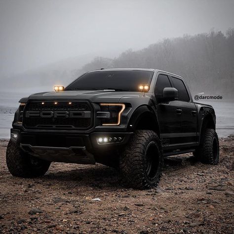 Shelby Truck, Black Ford Raptor, Raptor Truck, F150 Raptor, Future Vehicles, Ford Trucks F150, Ford F150 Raptor, Ford Ranger Raptor, Dream Trucks