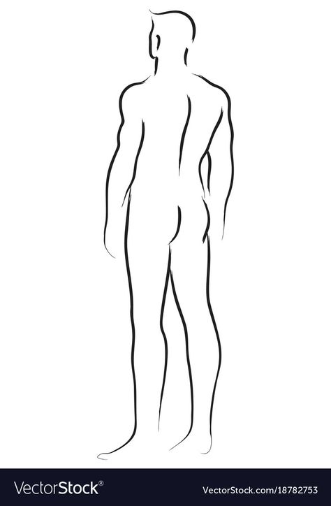 Line Art Drawings Man, Male Line Drawing, Male Body Line Art, Male Contour, Man From Behind, Contour Line Drawing, Tracing Art, Simple Line Art, Human Body Drawing