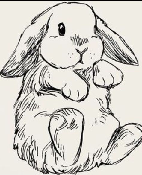 Bunny Drawings, Bunny Sketches, Rabbit Drawing, Bunny Tattoos, Cute Doodle, Best Anime Drawings, Bunny Drawing, Cute Sketches, 강아지 그림