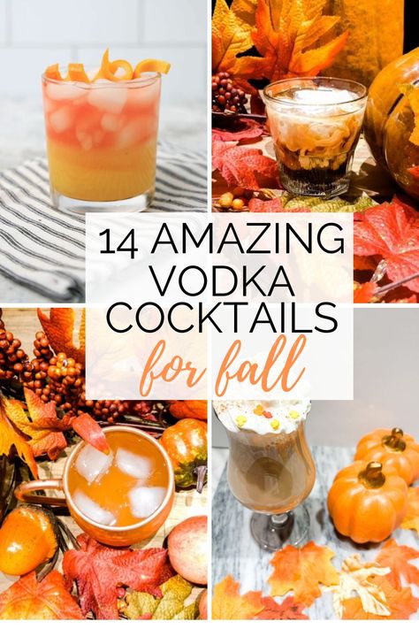 Alcholic Drink For Thanksgiving, Carmel Vodka Apple Cider Fall Drinks, Low Carb Fall Cocktails, Easy Fall Drinks Alcohol Recipes, Fun Fall Alcoholic Drinks, Best Fall Drinks Alcohol, Spiked Fall Drinks, Thanksgiving Vodka Punch, Fun Fall Cocktail Recipes