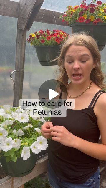 Needmore Farms | Gardening, DIY, and Recipes on Instagram: "Petunia care 101 🌸 

#flowers #flowergarden #petunia #garden #gardening #plants #plantcare #gardeningtips #gardeningtipsforbeginners #gardeningtipsandtricks #gardentips" How To Care For Petunias, Petunia Care Tips, Petunias In Pots, Petunia Garden, Petunia Care, Petunia Flower, Gardening Diy, Gardening Plants, Farm Gardens