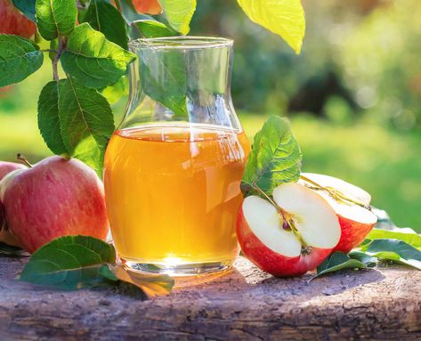 The Wonders of Wellness: Exploring the Health Benefits of Apple Cider Vinegar | Shore Physicians Group Apple Cider Vinegar Rinse, Benefits Of Apple Cider Vinegar, Benefits Of Apple Cider, Calligraphy Wallpaper, Benefits Of Apple, Vinegar Rinse, Vascular Surgery, Health Tonic, Digestive Juice