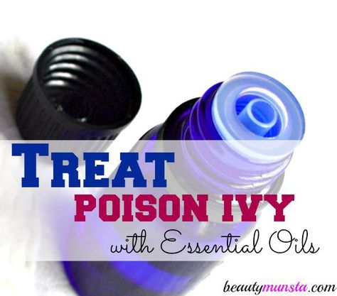 Soothe and calm poison ivy rashes and itchiness using essential oils! 7 best essential oils to treat poison ivy... Poison Ivy Remedies Essential Oils, Oils For Itchy Scalp, Poison Ivy Essential Oils, Oatmeal Bath For Poison Ivy, How To Stop Poison Ivy Itching, Essential Oil For Poison Ivy Rash, Poison Ivy Rash, Poison Ivy Remedies, Crunchy Stuff