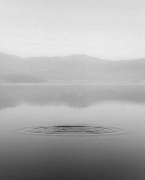 Lake misty Mists Of Avalon, Three Witches, White Lake, Italy Aesthetic, Lake Water, Water Photography, Black And White Aesthetic, High Fantasy, Visual Representation