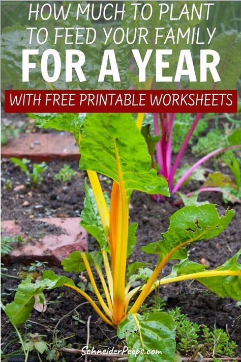 Preserve Food, Eat Fresh, Vegetable Garden Planning, Survival Gardening, Vegetable Gardens, Free Printable Worksheets, Grow Your Own Food, Companion Planting, Growing Food