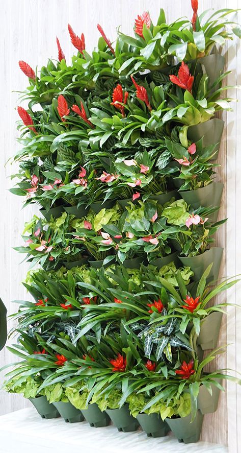 Vertical Garden Pots, Living Wall Garden, Green Wall Garden, Vertikal Garden, Vertical Garden Plants, Vertical Garden Planters, Vertical Garden Design, Vertical Vegetable Garden, Gardening Landscaping