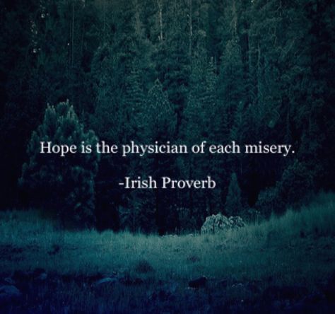 Hope is the physician of each misery.  -Irish Proverb Indian Proverbs, Die Quotes, Irish Proverbs, Chinese Proverbs, Dont Compare, Benjamin Franklin, True Friendship, World Leaders, Pretty Quotes