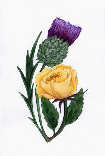 Maybe a nice tat ! Thistle Tattoos, Norse Patterns, Scottish Thistle Tattoo, Scottish Tattoos, Watercolour Tattoos, Thistle Tattoo, Unicorn Tattoo, Scottish Flowers, Scottish Dress