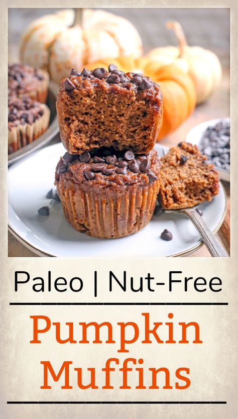 Paleo Nut-Free Pumpkin Muffins - Real Food with Jessica Paleo Pumpkin Recipes, Paleo Pumpkin Muffins, Gluten Recipes, Gluten Free Cake Mixes, Paleo Muffins, Paleo Baking, Paleo Recipes Easy, Healthy Treat, Pumpkin Muffins