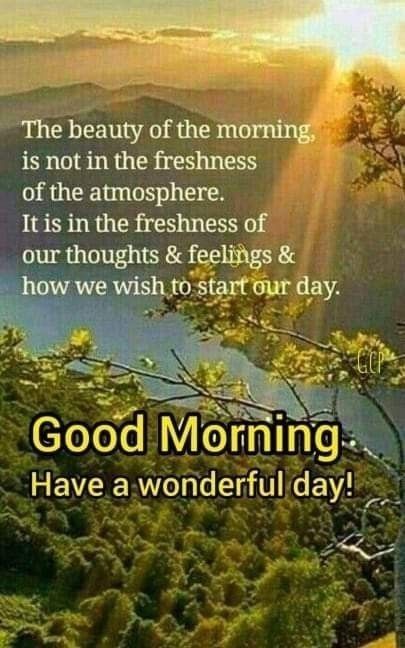 Good Morning Meaningful Quotes, Birthday Msgs, Blessed Morning Quotes, Good Morning Sun, Good Morning Msgs, Morning Sayings, Morning Sunshine Quotes, Positive Good Morning Quotes, Morning Quotes Images