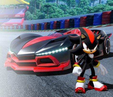 Team Sonic Racing Shadow the Hedgehog Team Sonic Racing, Sonic Car, Sonic The Hedgehog Costume, Decatur Texas, Sonic Racing, Sonic The Movie, Slam Dunk Anime, Shadow Sonic, Inspector Gadget