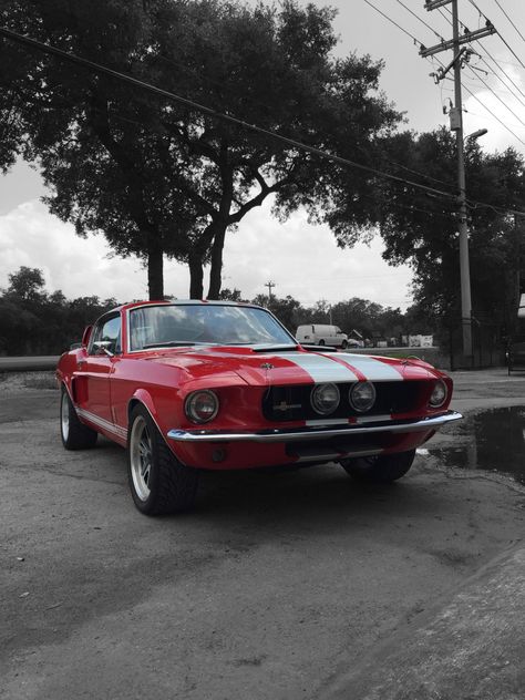 Red Mustang 1969, Cherry Red Mustang, Gt 500 Shelby, Yellow Mustang, Trylogia Hell, Mustang Red, Mustang 1969, Car Mustang, Ford Mustang 1969