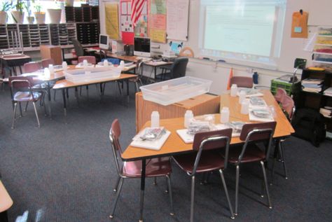 another way to arrange trapezoid desks.......interesting....may have to try this! Trapezoid Table Arrangement, Trapezoid Table, Desk Arrangement, Classroom Decor Middle, Planning School, Classroom Arrangement, Seating Plans, Classroom Decor High School, Science Laboratory