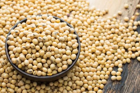 How to Cook Soybeans from Scratch Soybean Recipe, Best Vegan Protein Sources, Best Vegan Protein, Vegan Protein Sources, Meat Replacement, Dry Chickpeas, Soy Beans, Soya Bean, Vegan Beans