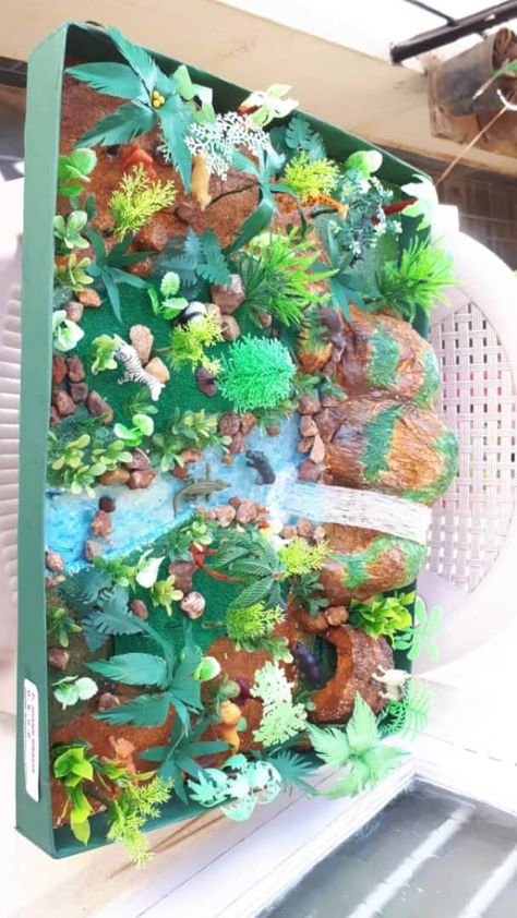 Forest Model School Project, Human Body Science Projects, Human Body Science, Body Science, Model School, Jungle Safari, School Project, Science Projects, Wild Animals