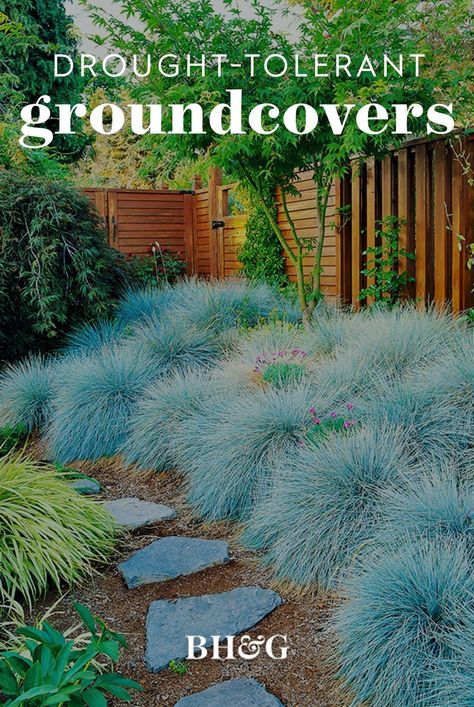 Drought Tolerant Landscape Front Yard, Xeriscape Front Yard, Drought Resistant Landscaping, Low Water Landscaping, Xeriscape Landscaping, Drought Tolerant Landscape, Grasses Landscaping, Front Landscaping, Magic Garden