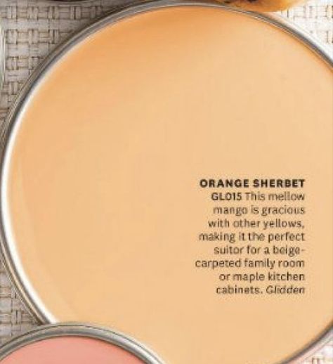 Orange Shiplap Wall, Light Orange Kitchen Walls, Creamsicle Paint Color, Light Orange Paint Walls, Light Orange House Exterior, Pale Orange Paint Colors, Tangerine Paint Color, Light Orange Wall Paint, Pale Orange Walls